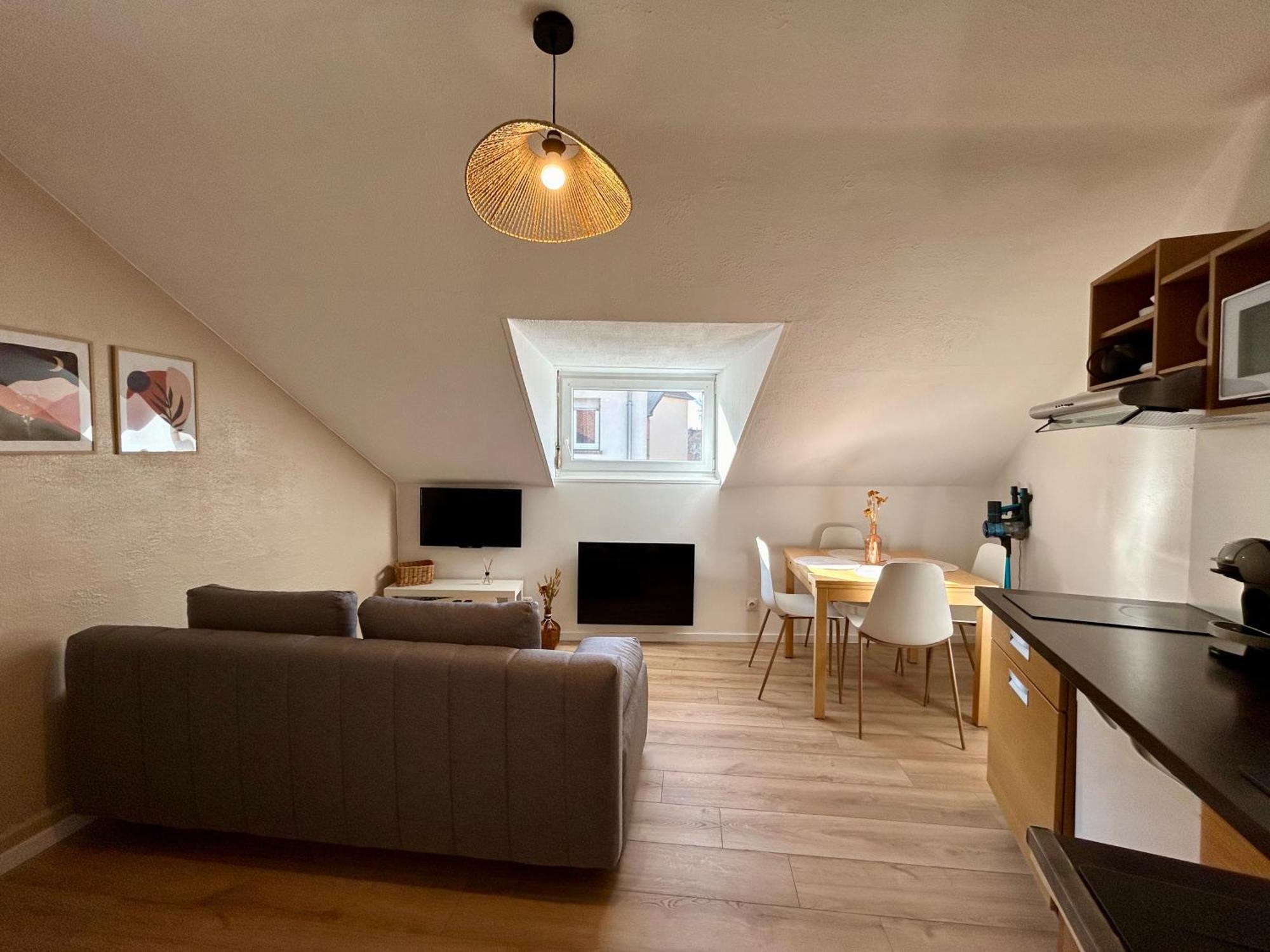 Апартаменти Douce Agathe - Duo-Groupe, Chaleureux, Tram 200M, Centre 10Min Страсбург Екстер'єр фото